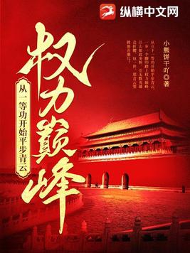 权力巅峰完整